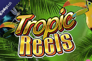 tropic reels